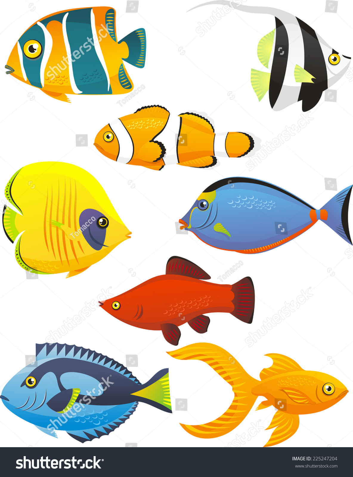 Fish Tropical Fishes Shoal, With Eight 8 Different Fish In Different ...