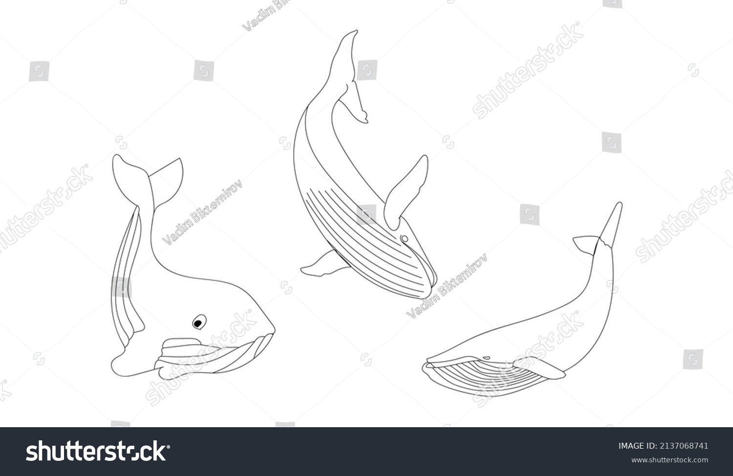 Fish Whale Coloring Bookhigh Qualityvector Illustrationisolated Stock ...