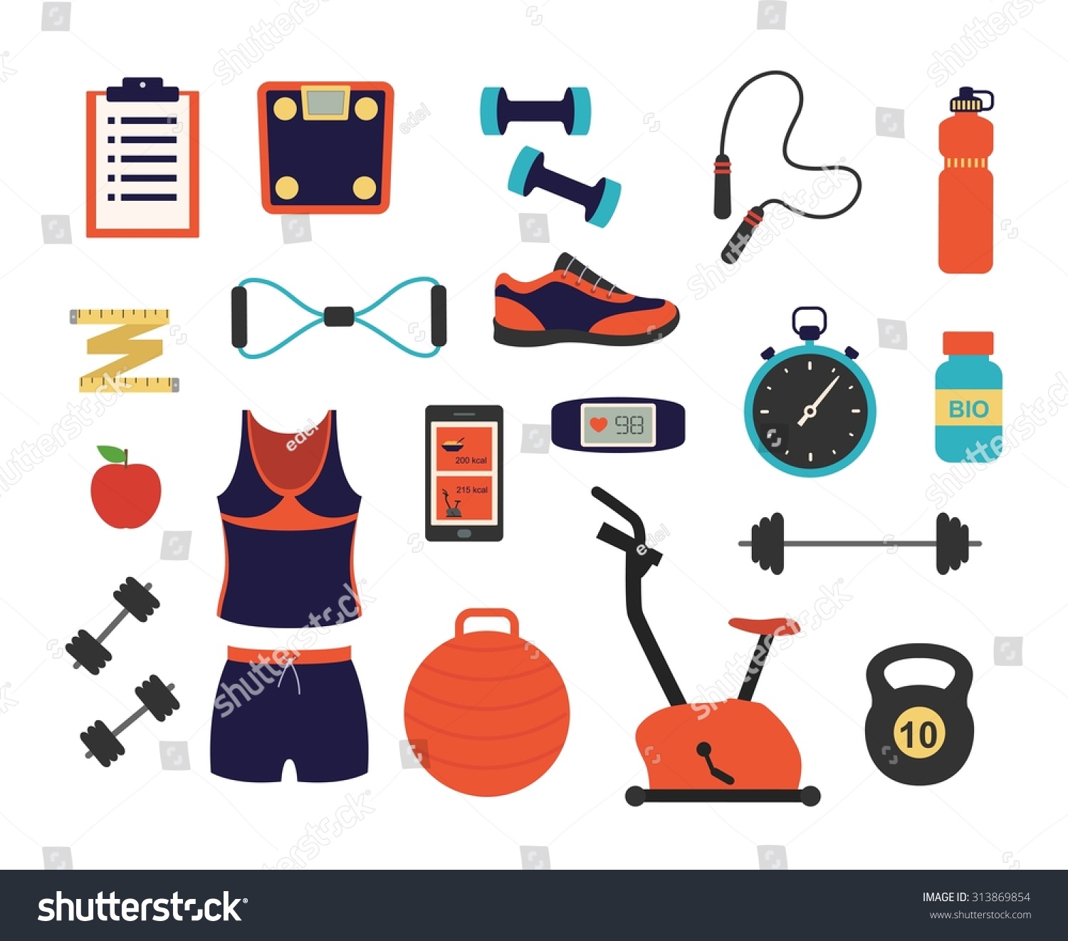 Fitness Sport Tools Elements Illustration Vector Stock Vector 313869854 ...