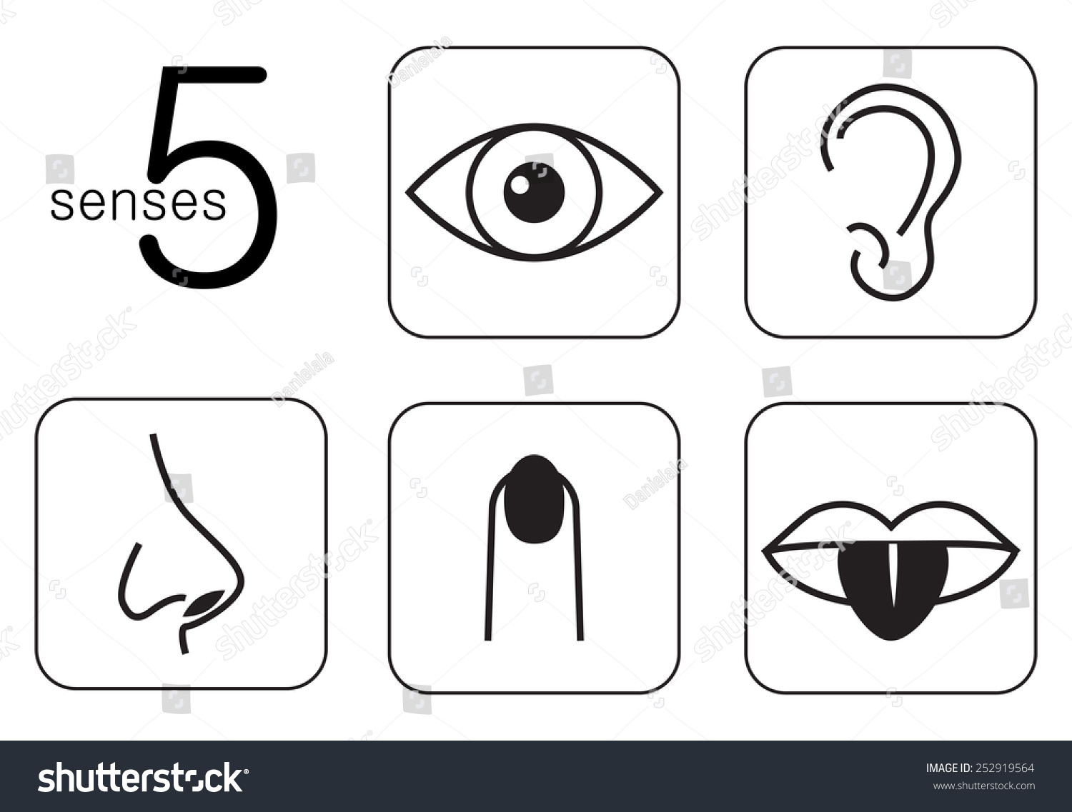 Five Senses Stock Vector Illustration 252919564 : Shutterstock
