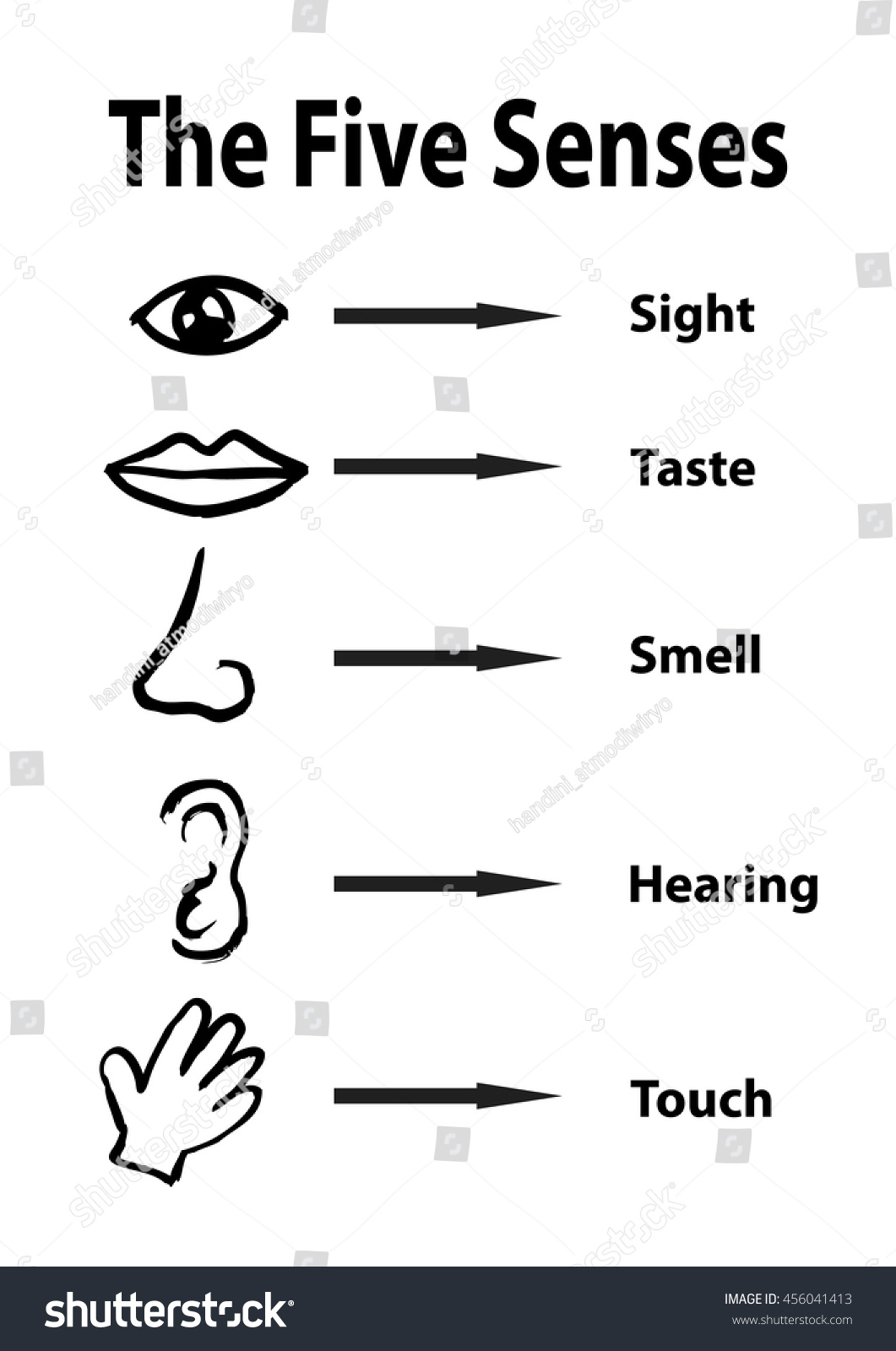 Five Senses Stock Vector Illustration 456041413 : Shutterstock