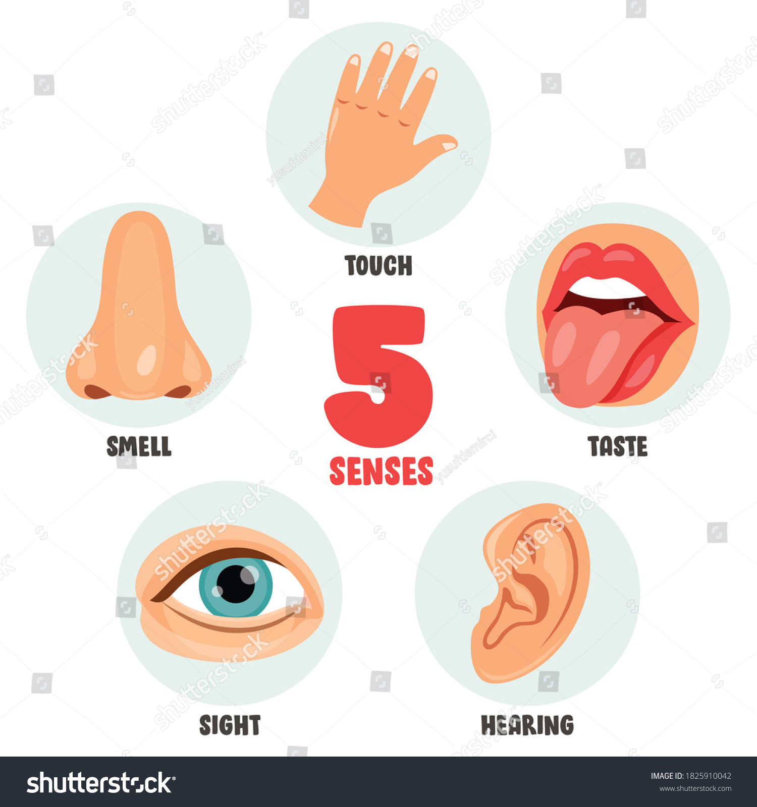 Five Senses Concept Human Organs Stock Vector (Royalty Free) 1825910042 ...