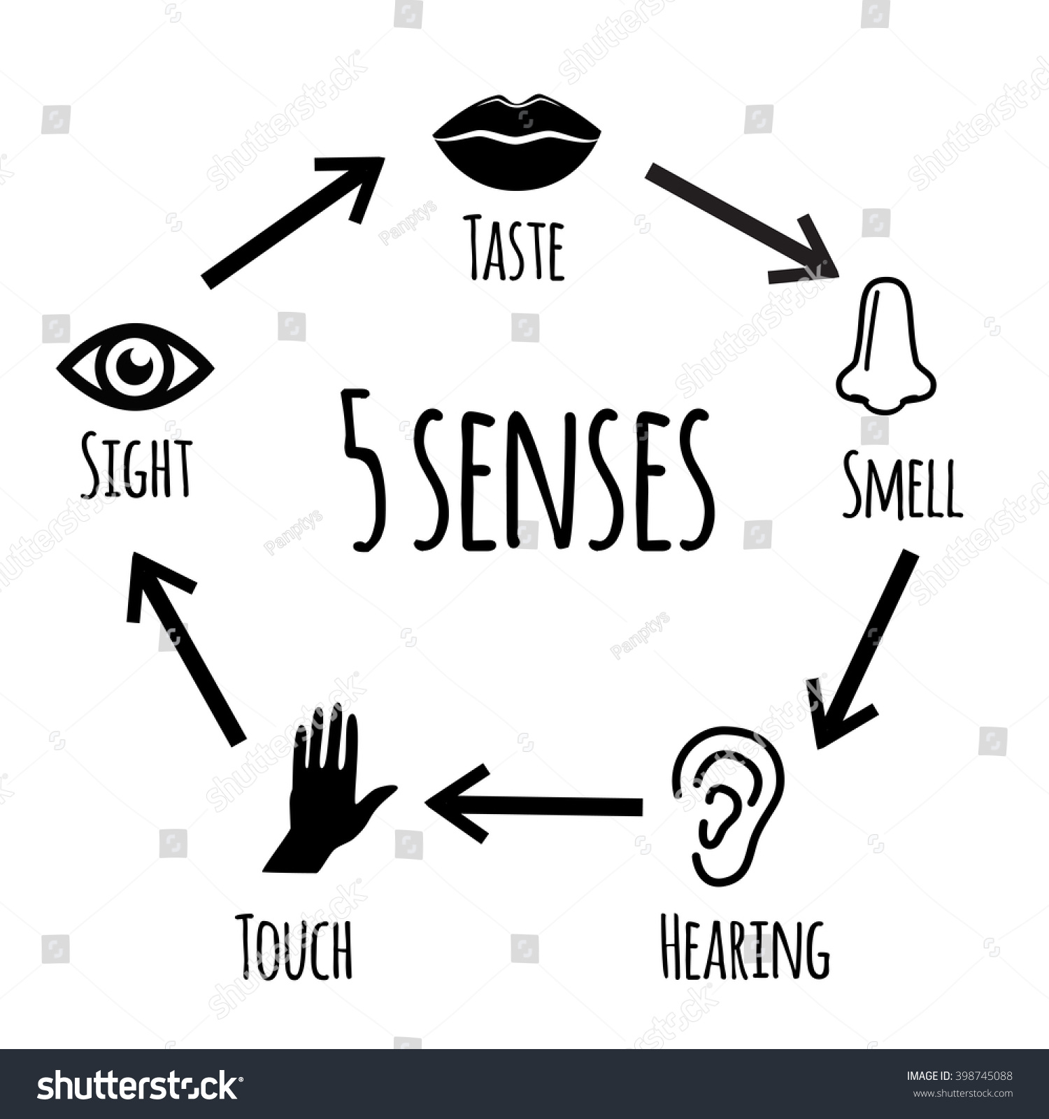 Five Senses - Educational Illustration. Vector Art. - 398745088 ...