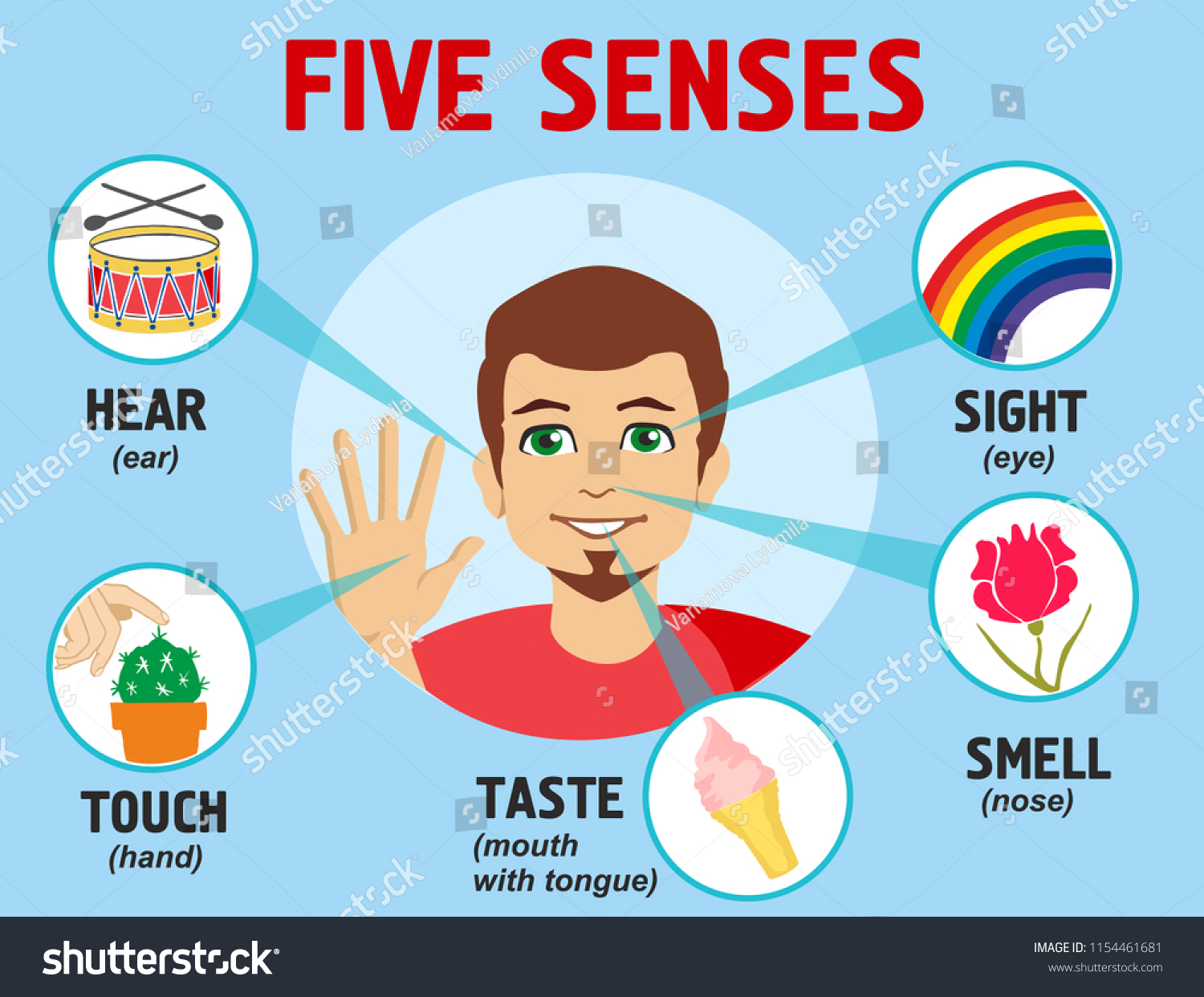 Five Senses Illustrations Design Name Sight Stock Vector (Royalty Free ...