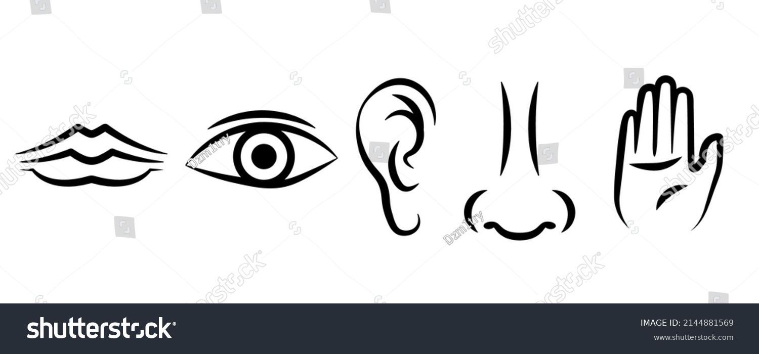 Five Senses Line Icon Clipart Image Stock Vector (Royalty Free ...