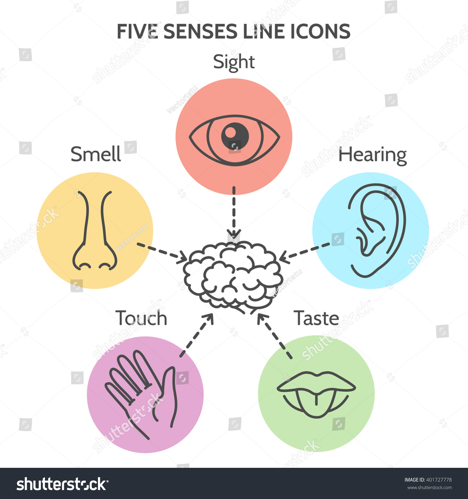 5 Senses Ears