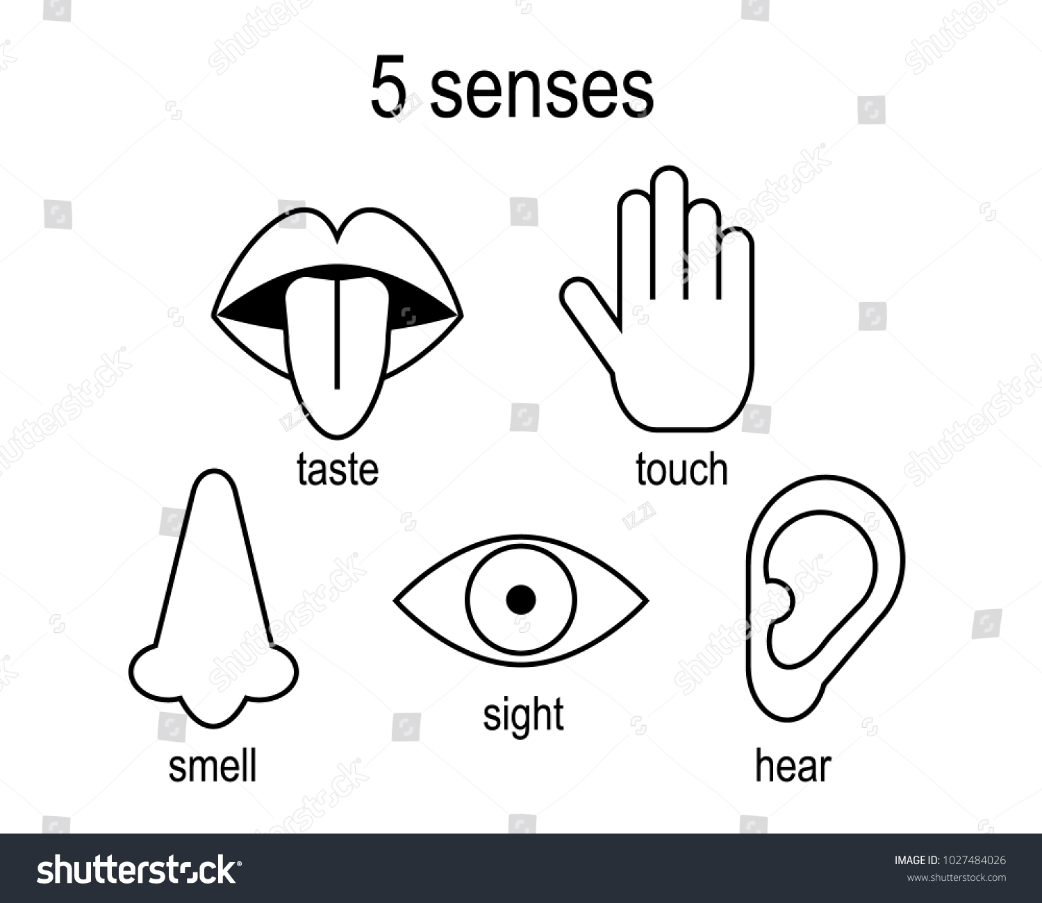 Five Senses Outline Icon Set Taste Stock Vector (Royalty Free) 1027484026