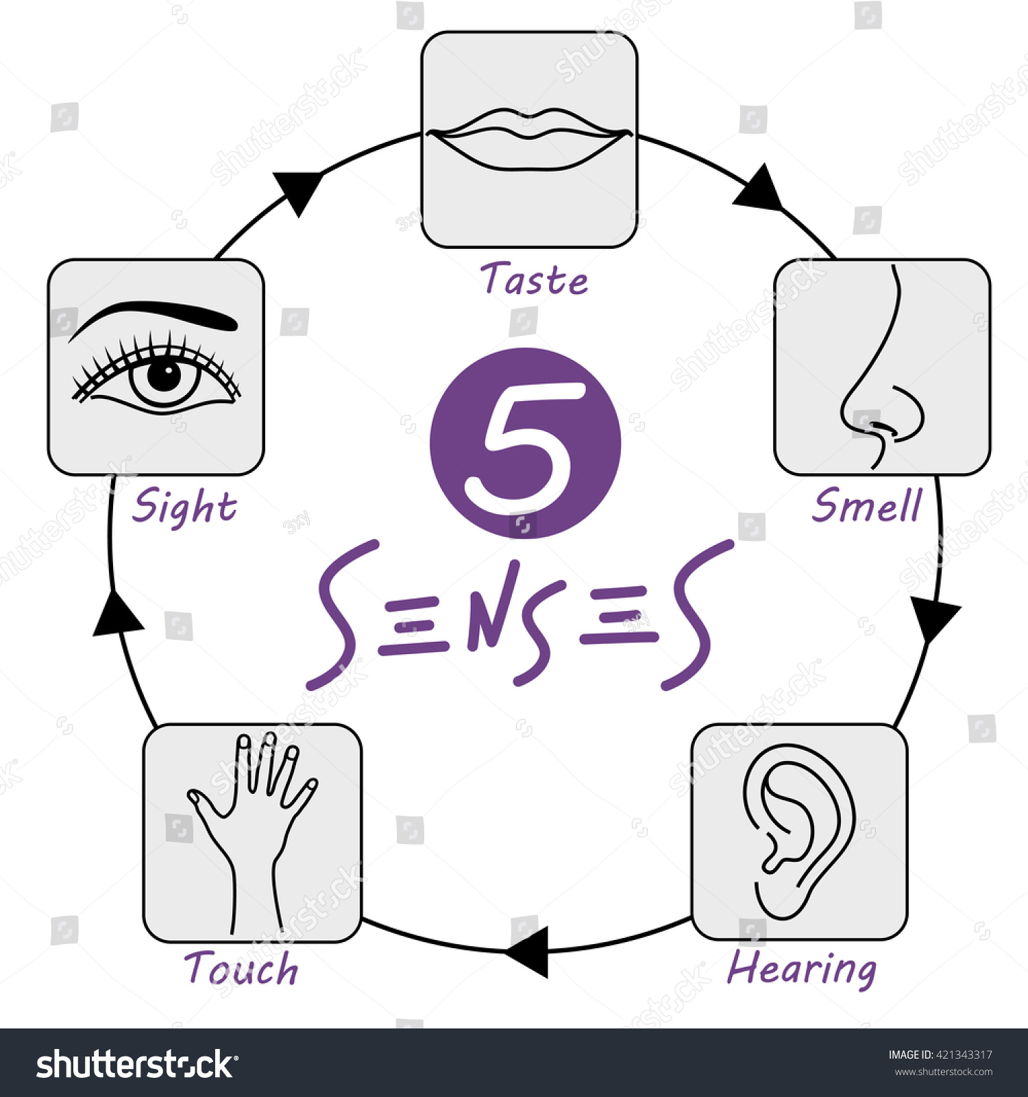 Five Senses Vector Icons Set - 421343317 : Shutterstock