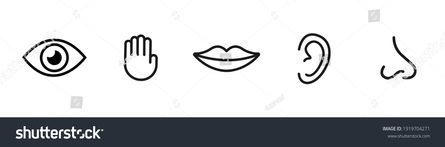 Five Senses Vector Icons Set Vision Stock Vector (Royalty Free ...