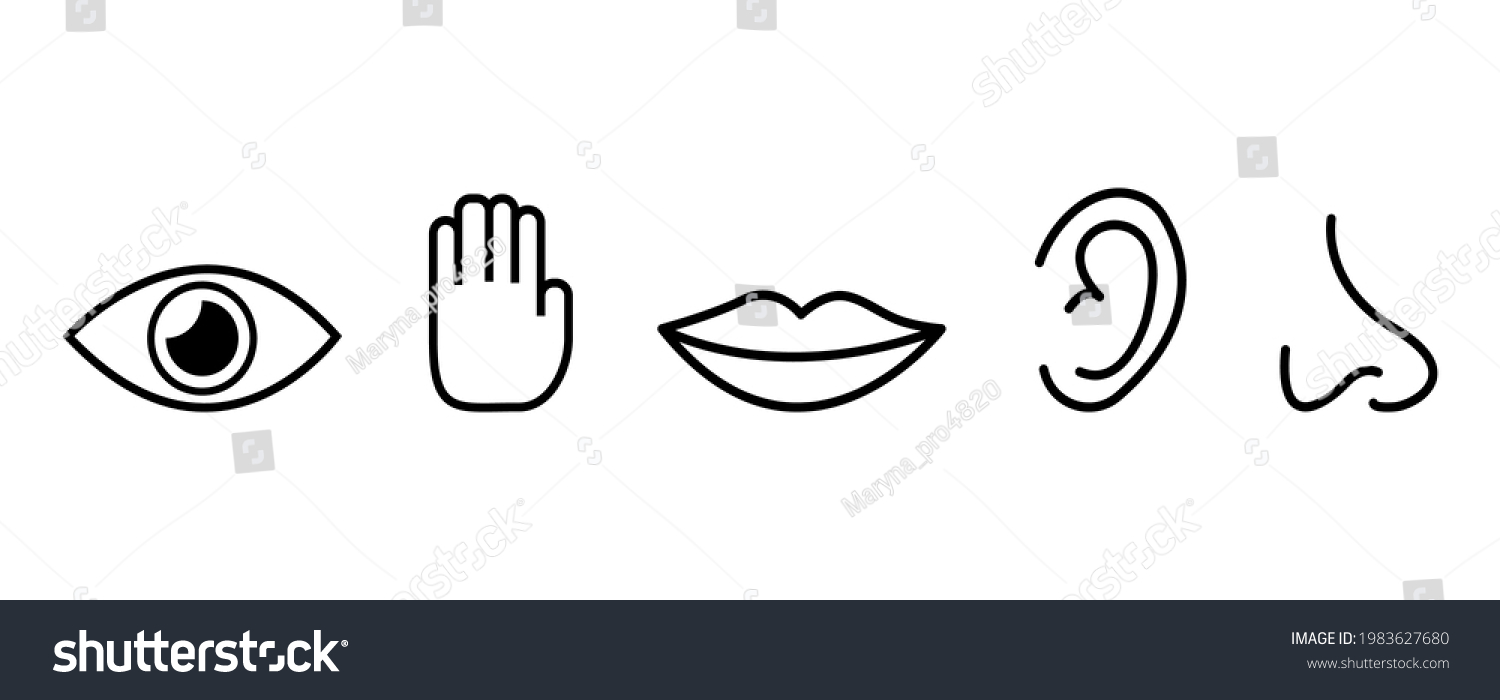 Five Senses Vector Icons Set Vision Stock Vector (Royalty Free) 1983627680