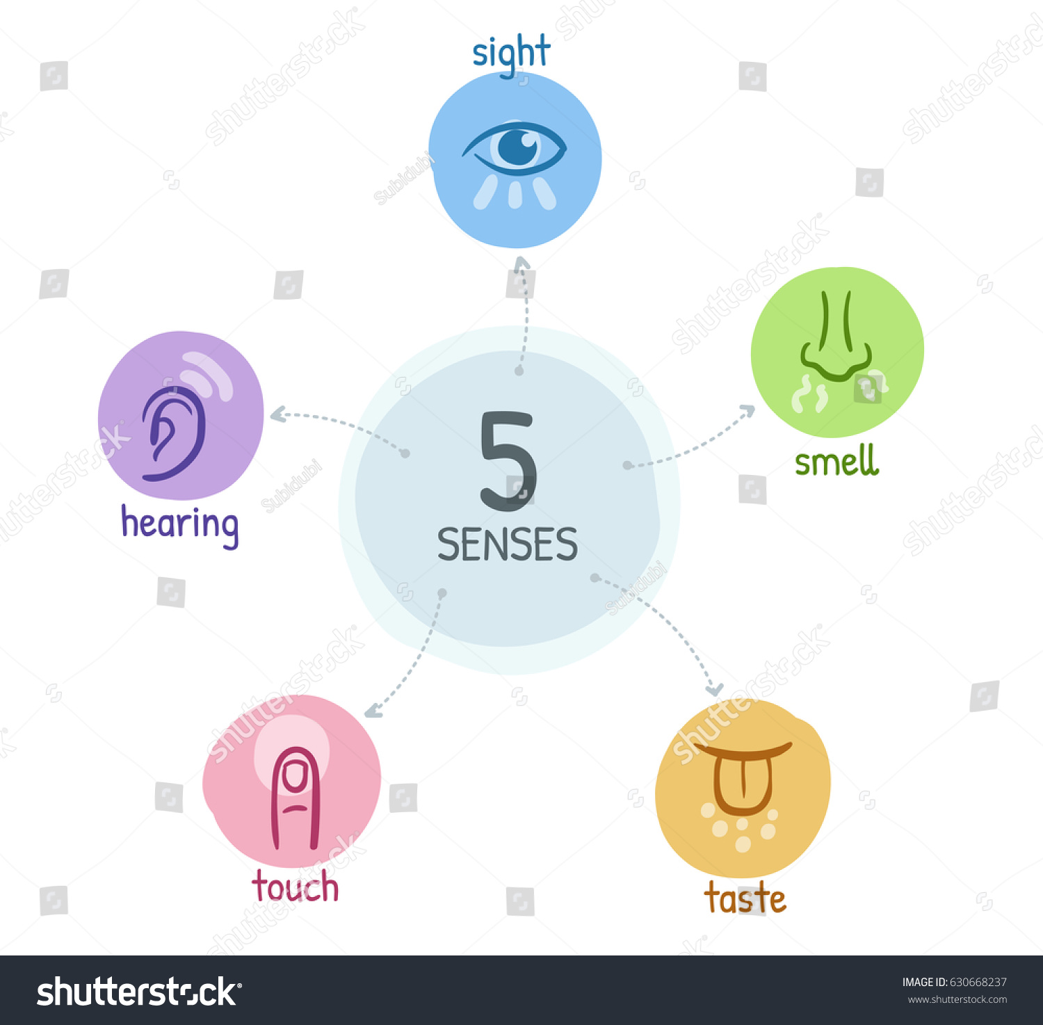Five Senses Simple Hand Drawn Icons Stock Vector 630668237 - Shutterstock