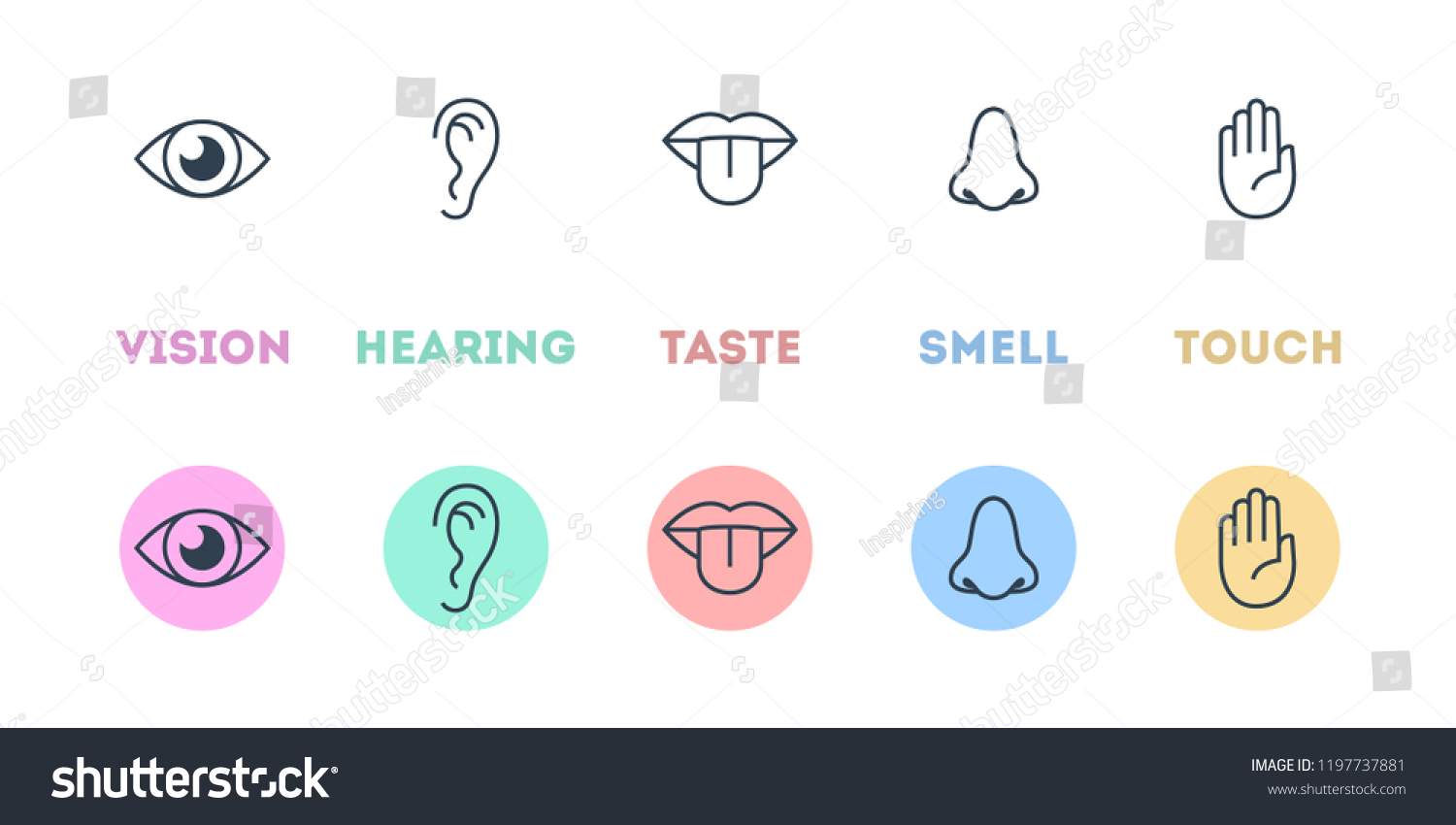 Five Types Human Sense Vision Through Stock Vector (Royalty Free ...