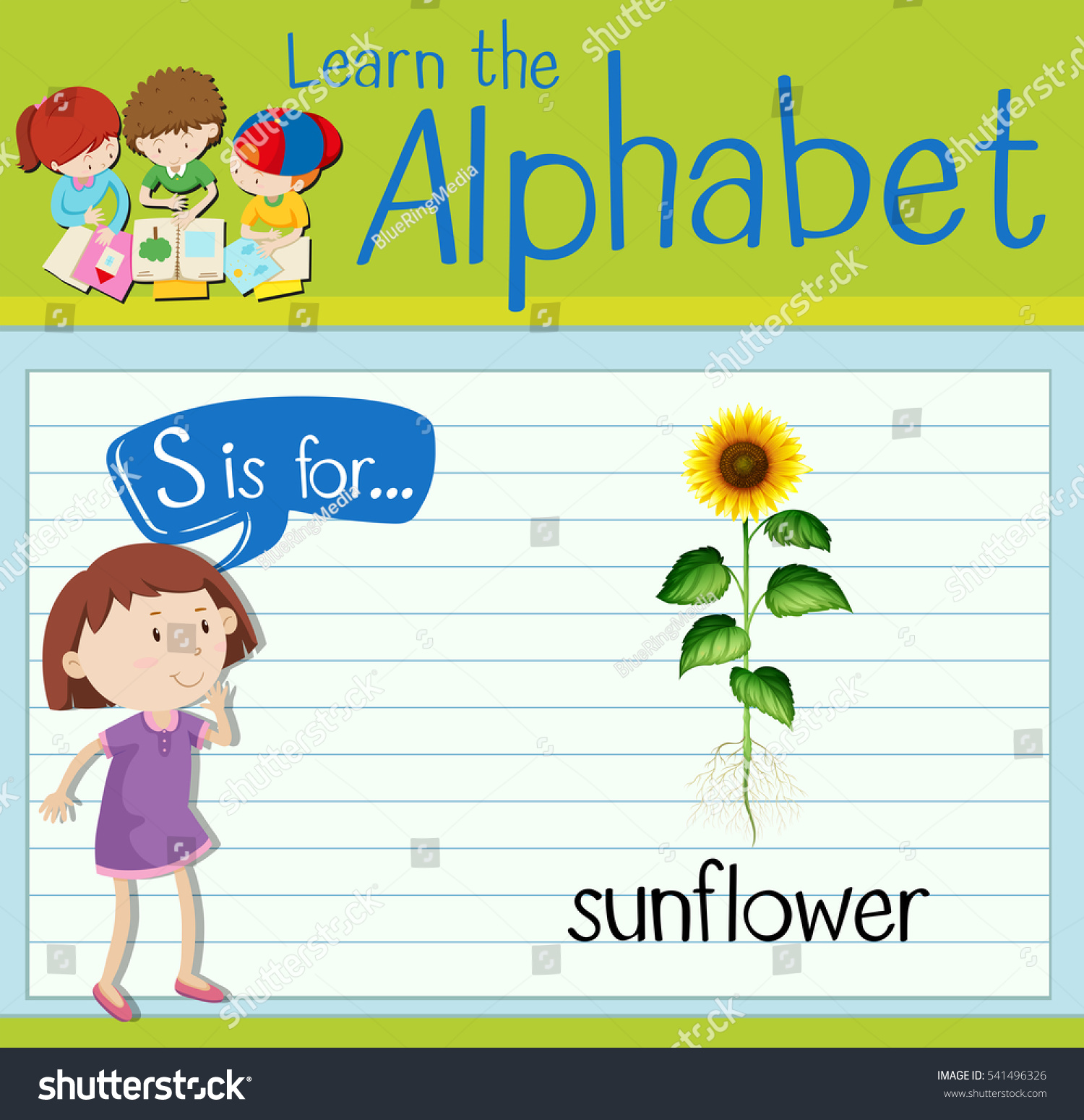 Flashcard Letter S Sunflower Illustration Stock Vector (Royalty Free ...