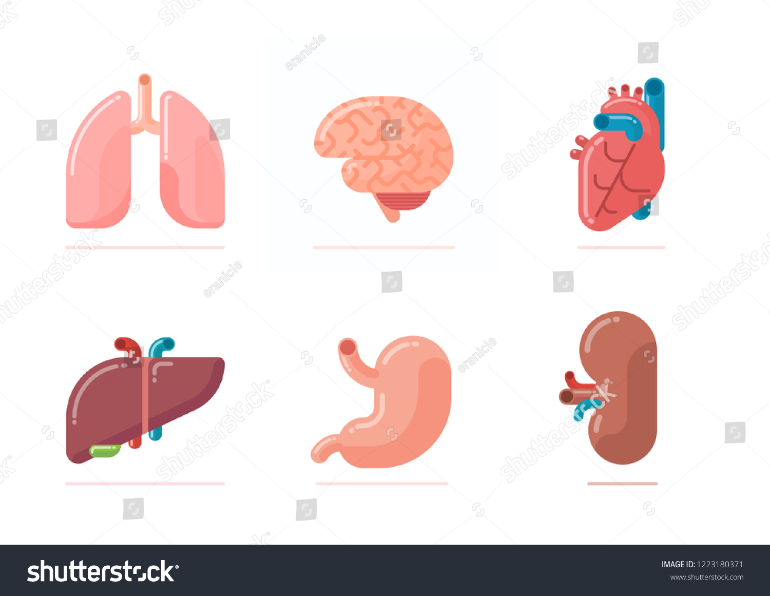 11,525 Heart brain flat icon Images, Stock Photos & Vectors | Shutterstock