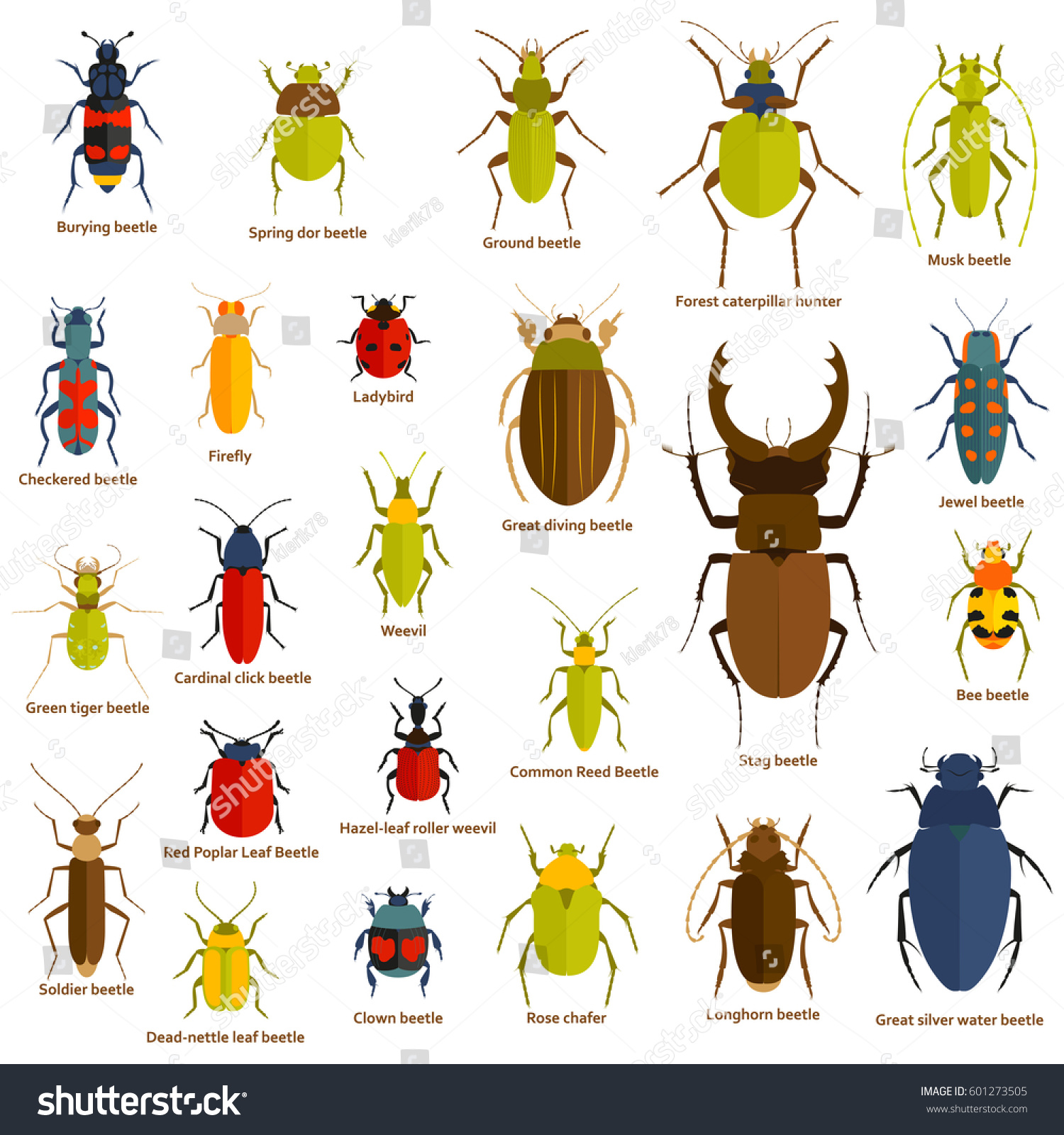 Flat Insect Set Isolated On White Stock Vector (Royalty Free) 601273505