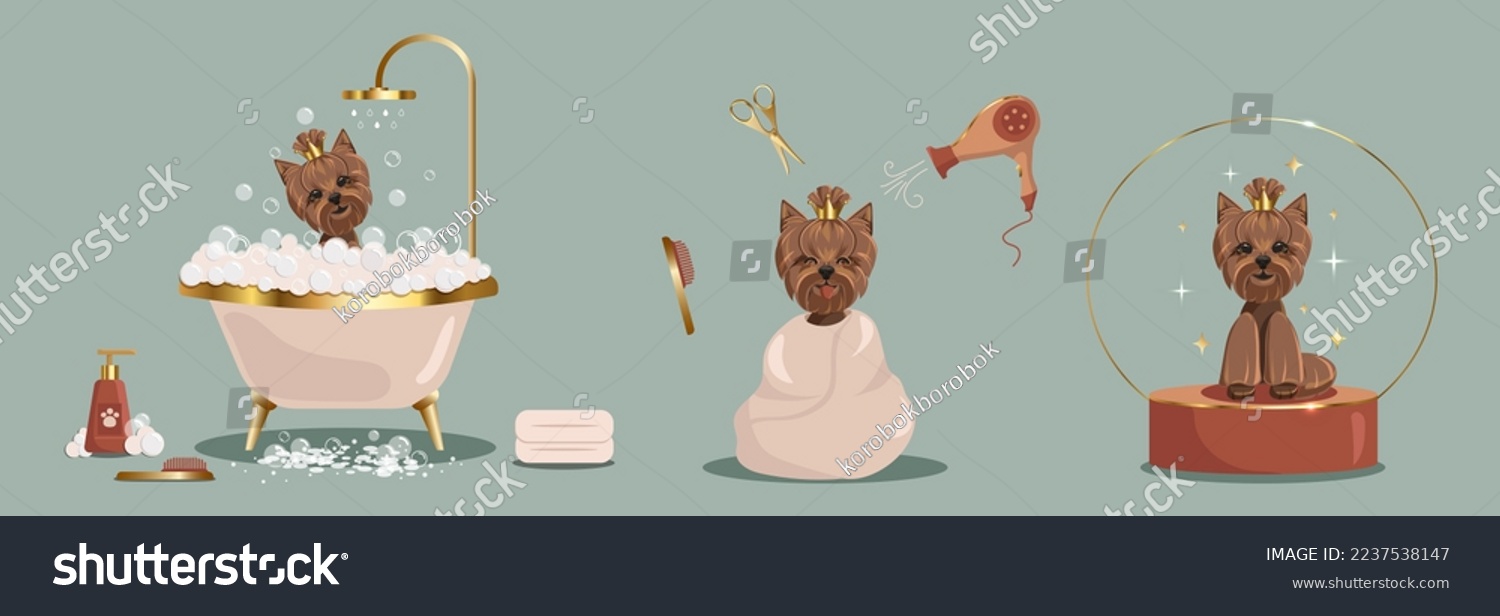 SVG of Flat vector banner pet grooming concept equipment elements in boho style. Cute dog character, takes a bubble bath and grooming tools for wool care. Dog washing service the grooming salon svg