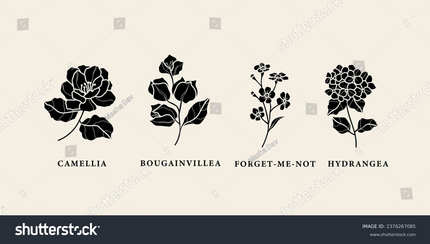 SVG of Flat vector camellia, bougainvillea, forget-me-not, hydrangea svg