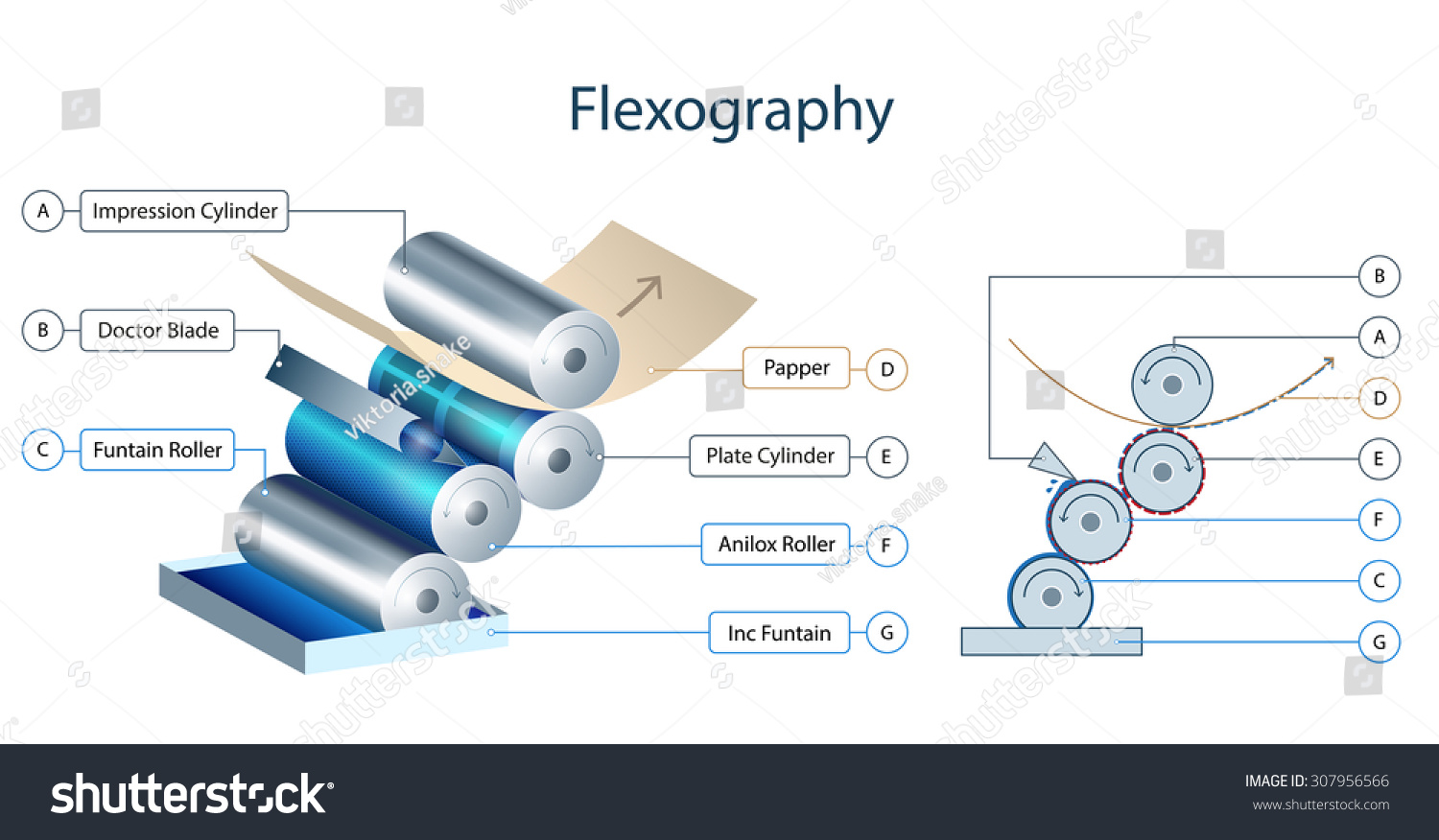 12 Flexo printing press Stock Vectors, Images & Vector Art Shutterstock