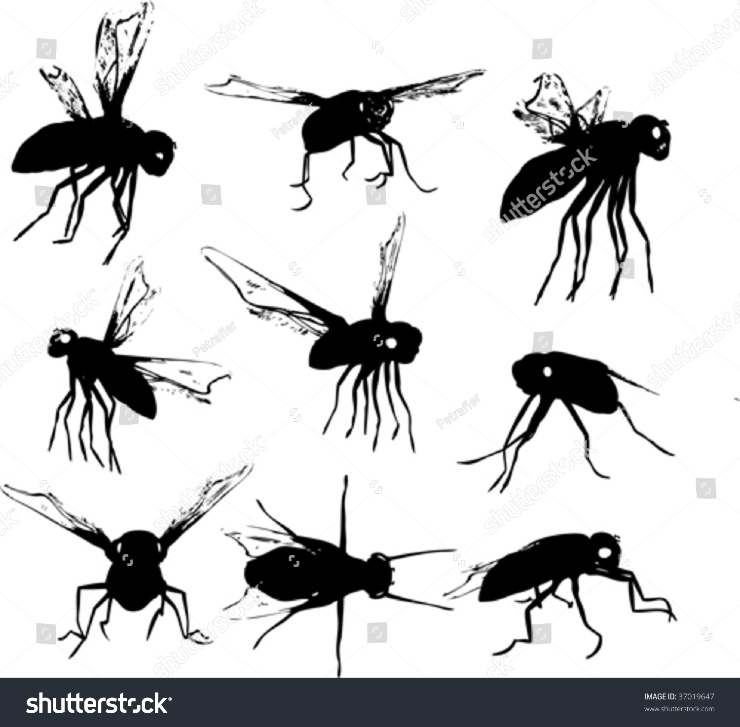 Flies Silhouettes Stock Vector Illustration 37019647 : Shutterstock