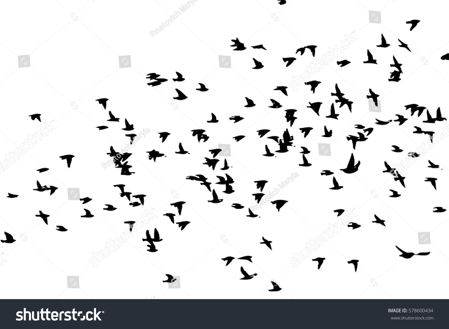 Flock Birds Silhouette Vector Stock Vector (Royalty Free) 578600434