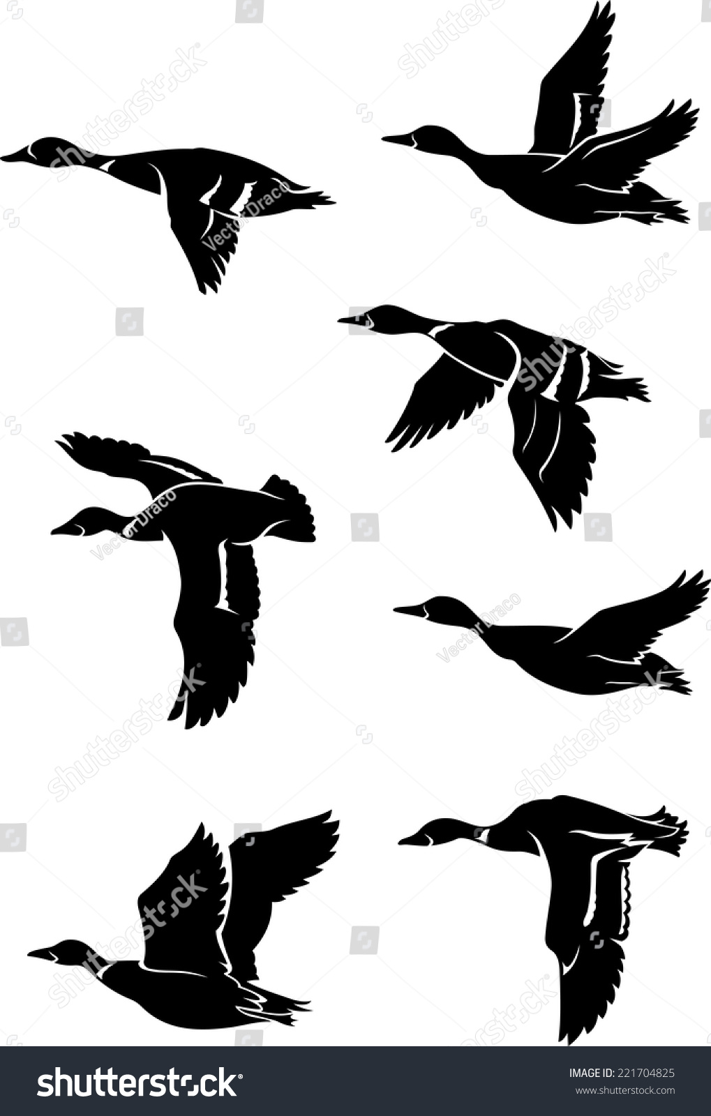 Flock Wild Ducks Stock Vector 221704825 - Shutterstock