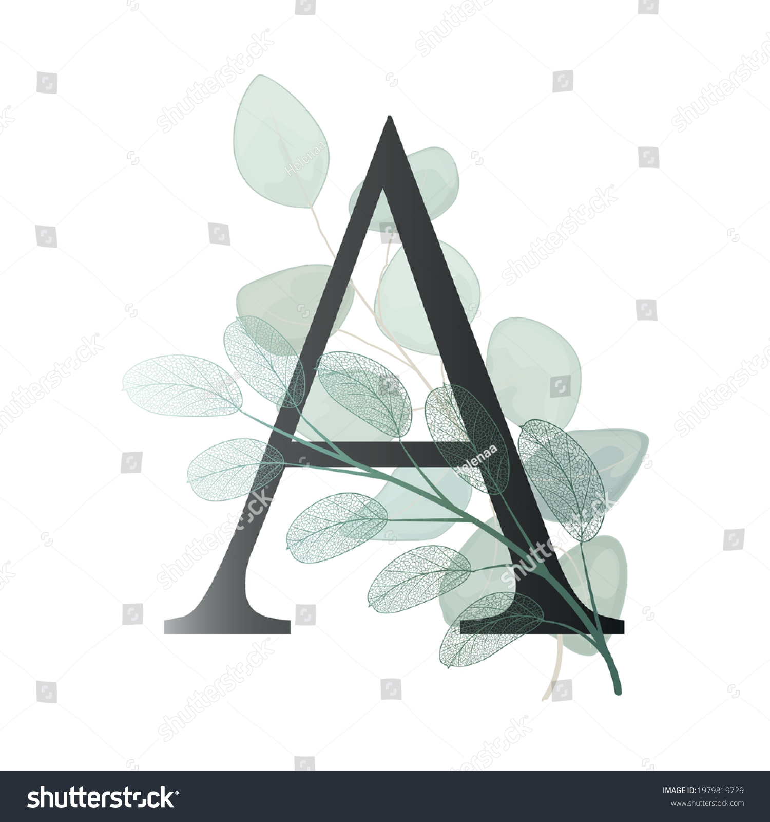 Floral Alphabet Letter Leaves Eucalyptus Vector Stock Vector (Royalty ...