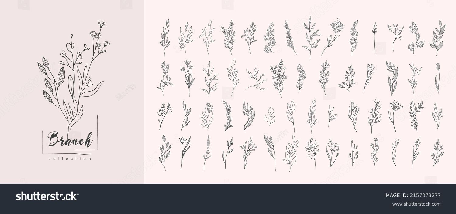 SVG of Floral branch and minimalist leaves for logo or tattoo. Hand drawn line wedding herb, elegant wildflowers. Minimal line art drawing for print, cover or wallpaper svg