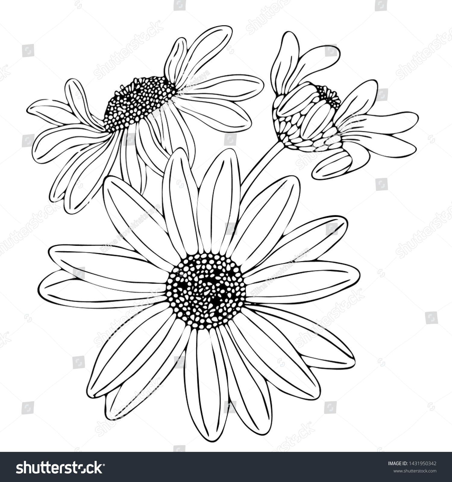 Floral Coloring Template Black Line Flower Stock Vector Royalty ...