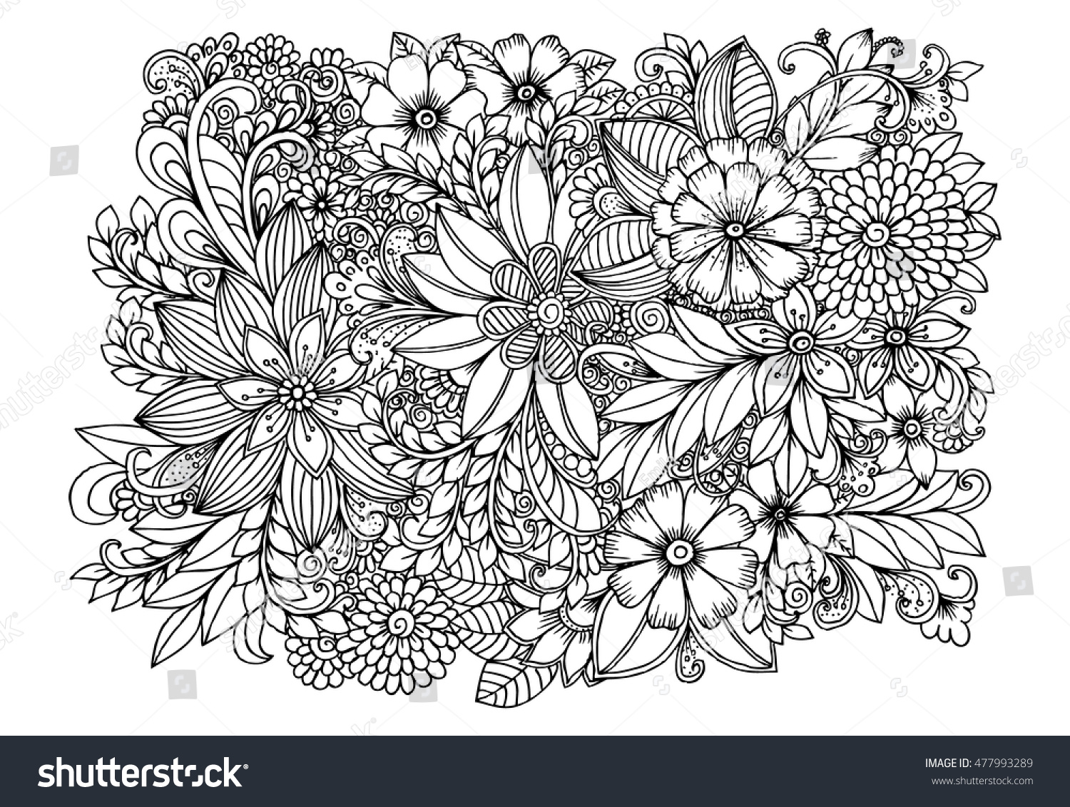Floral Doodle Pattern Black White Zentangle Stock Vector Royalty Free