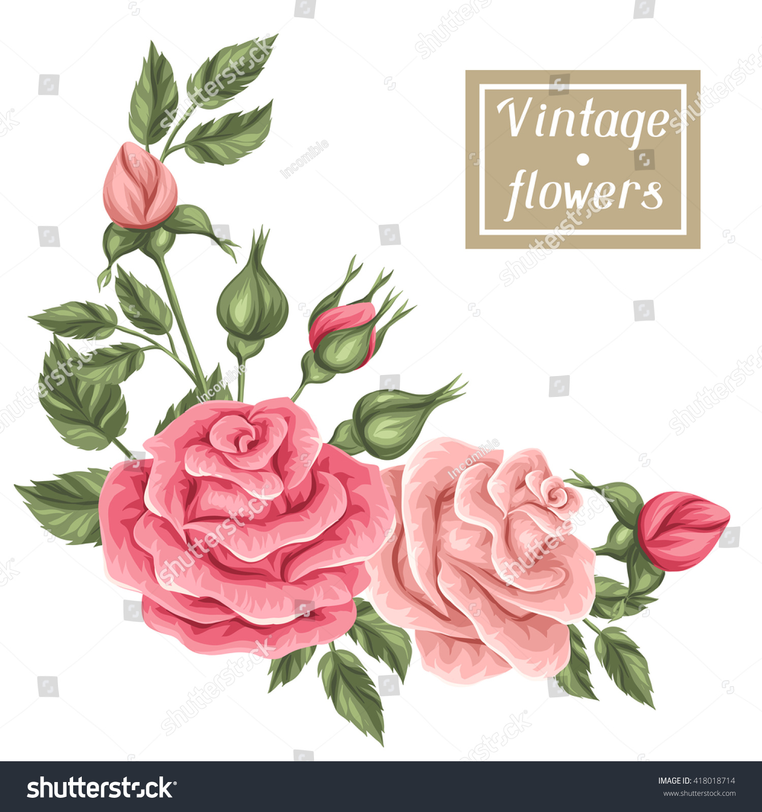 Featured image of post Rosas Vectores Vintage Png Gr ficos gratis de png para descargar