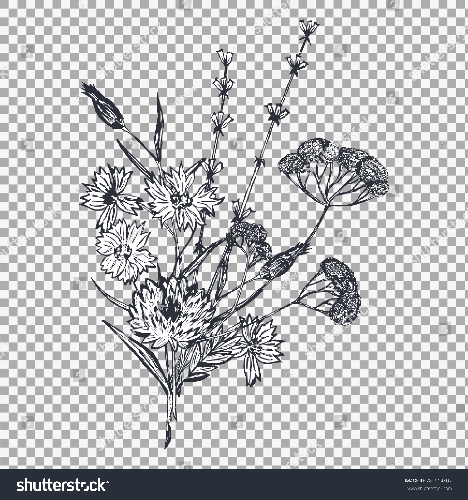 Descubra Floral Pattern Field Flowers Lavender On Imagenes De Stock En Hd Y Millones De Otras Fotos Ilustraciones Y Vectores En Stock Libres De Regalias En La Coleccion De Shutterstock Se Agregan Miles De Imagenes Nuevas De Alta Calidad Todos Los Dias