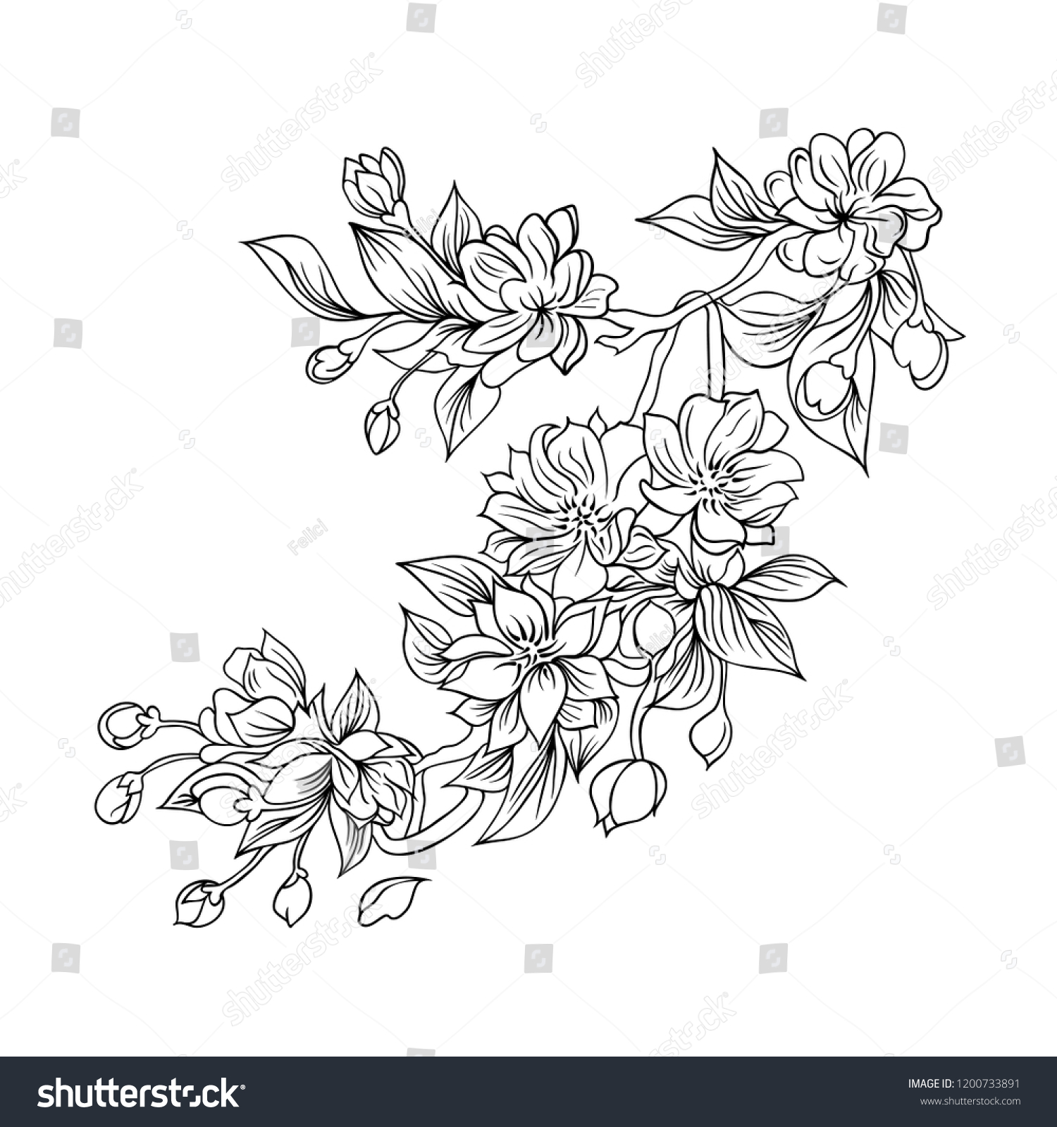 Floral Pattern Sakura Flowers Black White Stock Vector (Royalty Free ...