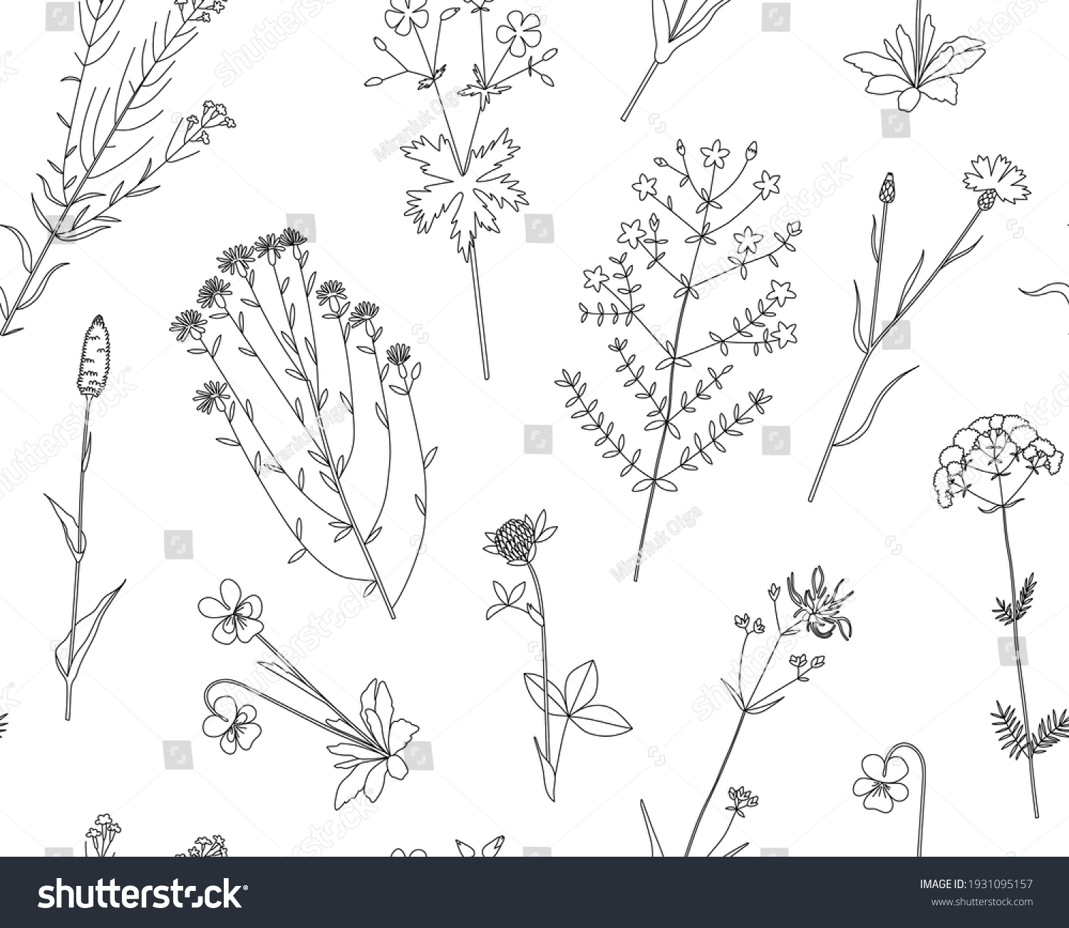 Ramo Stock Illustrations, Images & Vectors | Shutterstock