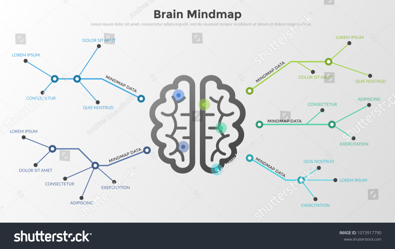 622 Brain flowchart Images, Stock Photos & Vectors | Shutterstock