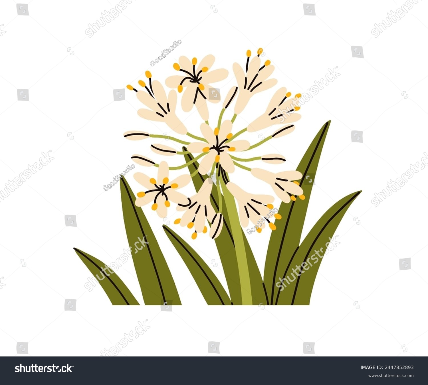 SVG of Flower bloom. Summer floral plant with leaf and buds. Delicate gentle African lily, Agapanthus orientalis. Beautiful wildflower. Botanical natural flat vector illustration isolated on white background svg