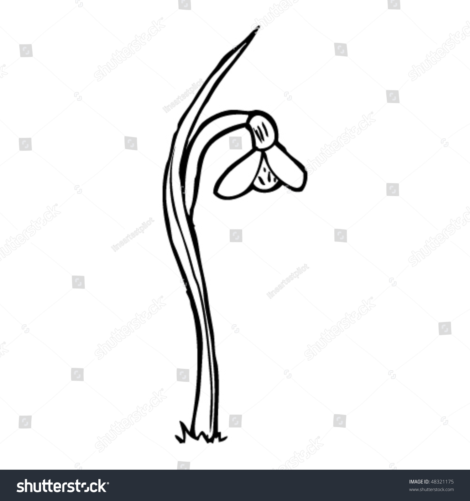 Flower Budding Drawing Stock Vector 48321175 Shutterstock