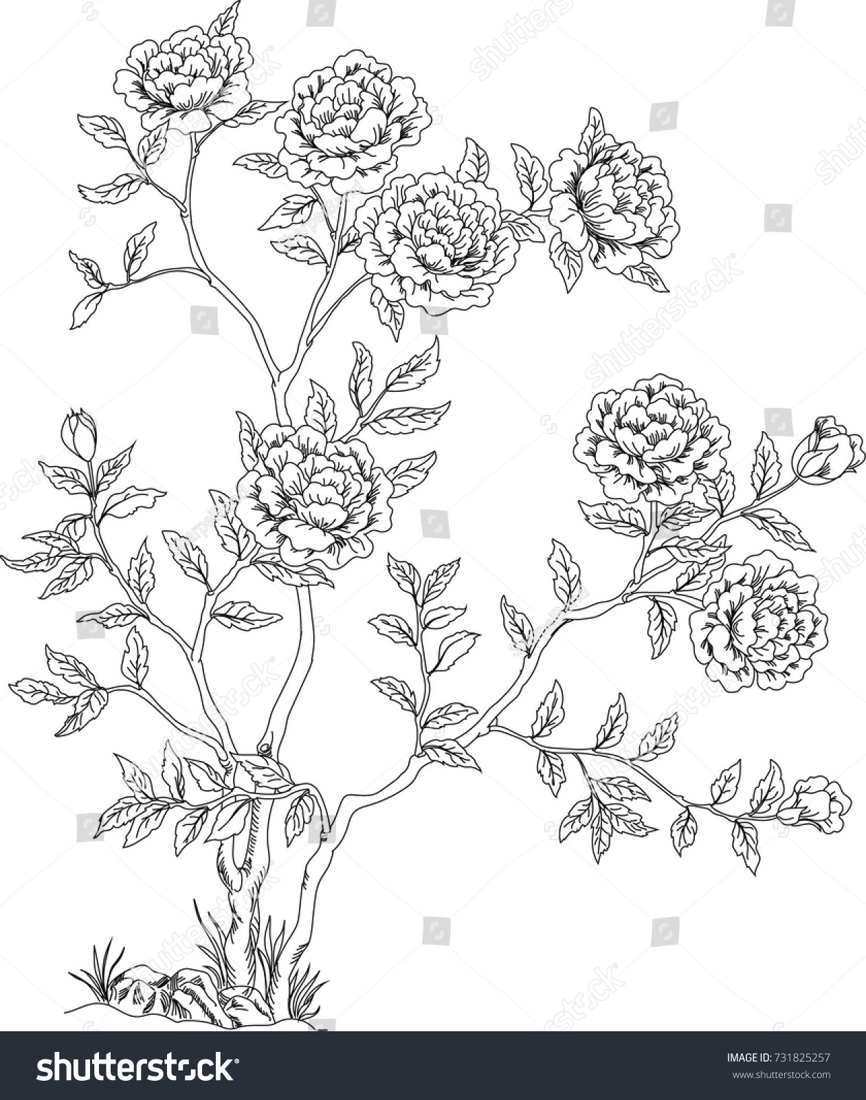 Flower Bush Wild Rose Vector Illustration Stock Vector (Royalty Free