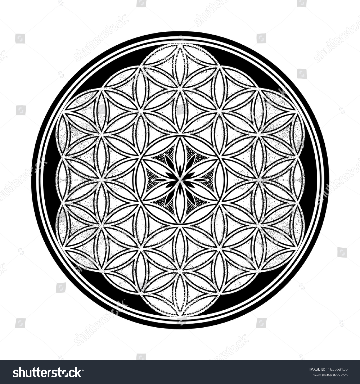 Flower Life Intersecting Circles Forming Stock Vector Royalty Free Flower Life Intersecting Circles Forming Stock Vector Royalty Free