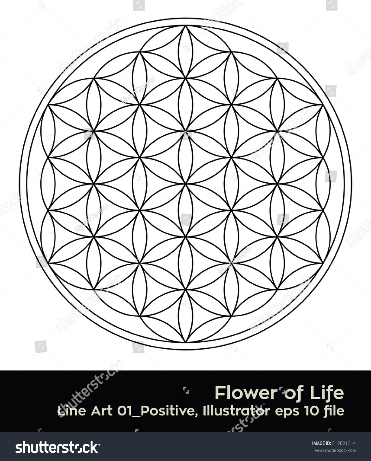 Flower Life Intersecting Circles Forming Flower Stock Vector Royalty Flower Life Intersecting Circles Forming Flower Stock Vector Royalty