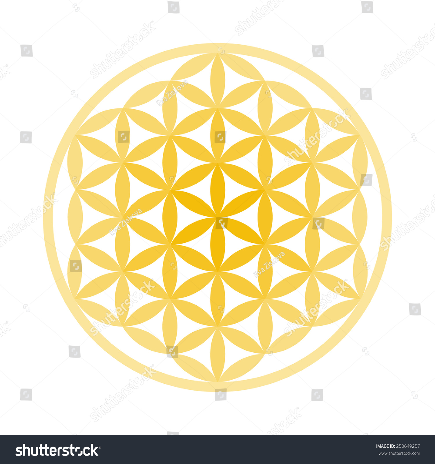 Flower Of Life Symbol - Vector Set (Chakra Colours) - 250649257 ...