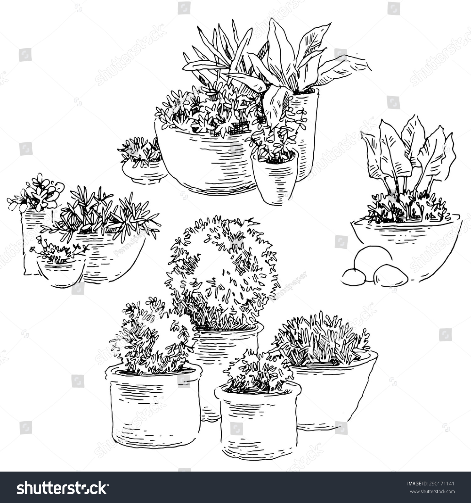 Flower Pots  Sketch Vector Line  Artwork Stock Vector 