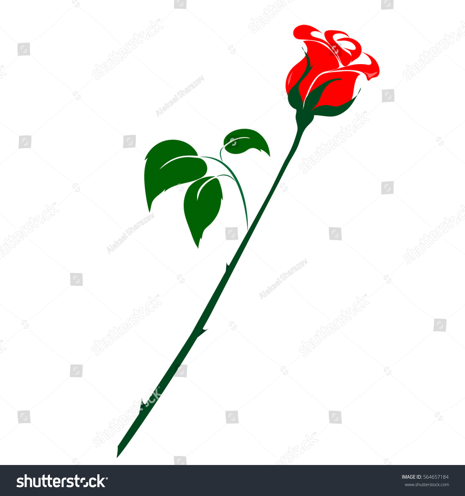 Flower Red Rose On White Background Stock Vector 564657184 - Shutterstock