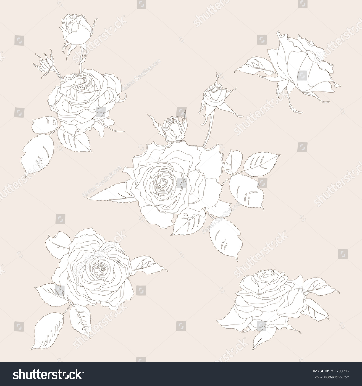Flower Set Monochrome Hand Drawn Rosesflower Stock Vector 262283219