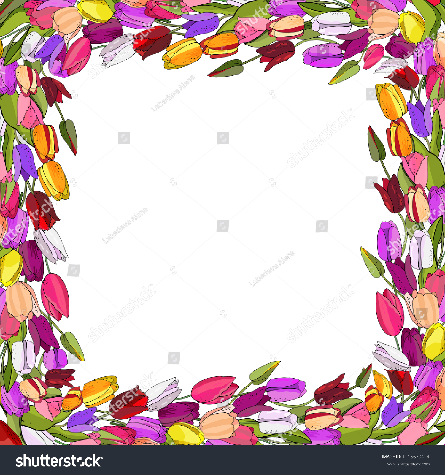 Flower Template Tulips Vector Hand Drawn Stock Vector (Royalty Free ...