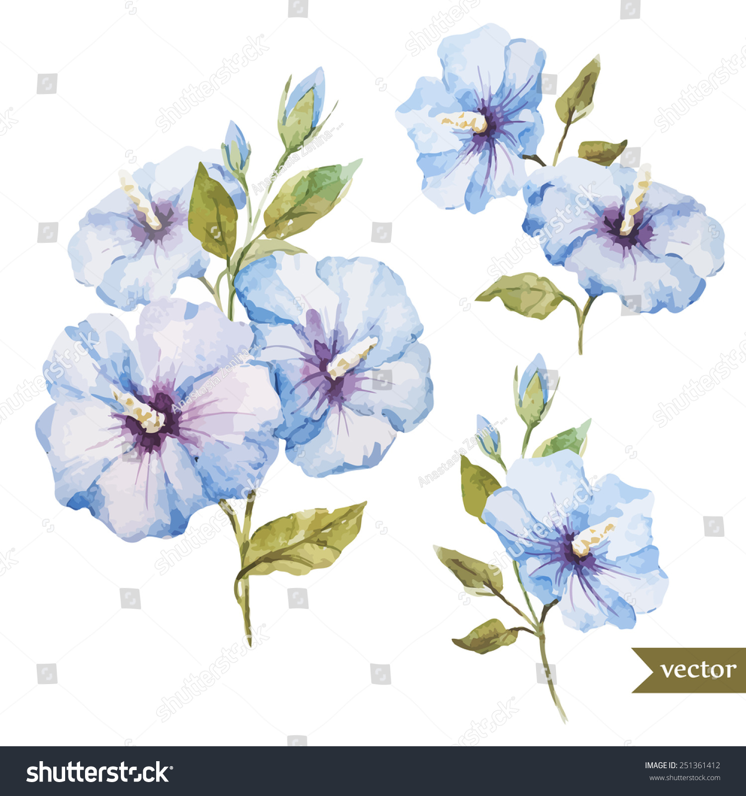 Flower, Watercolor, Hibiscus Stock Vector Illustration 251361412 ...