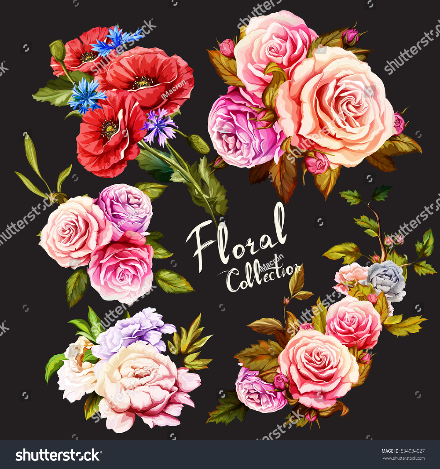 Flowers Set Five Bouquets Poppy Flowers Stock Vector Royalty Free 534934027