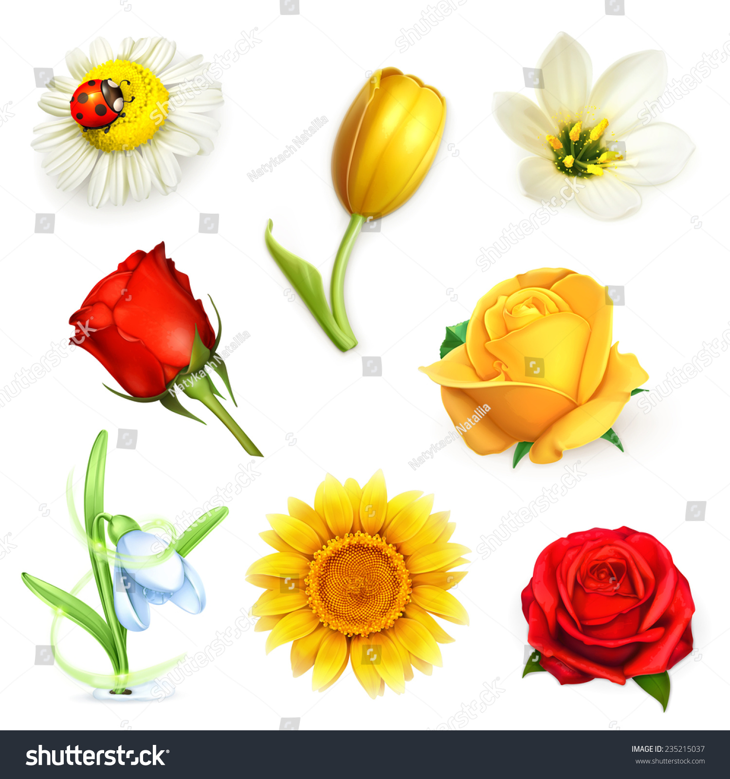 SVG of Flowers, set vector svg
