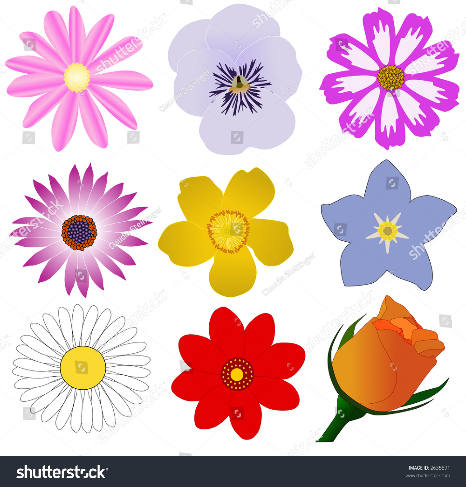 Flowers (Vector) - 2635591 : Shutterstock