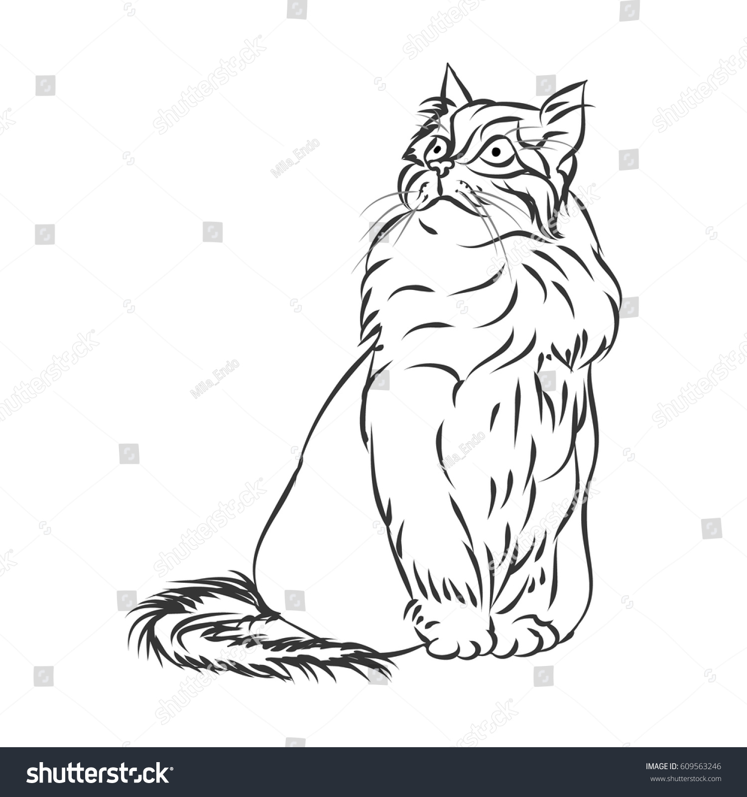 Fluffy Cat Outline On White Background Stock Vector 609563246