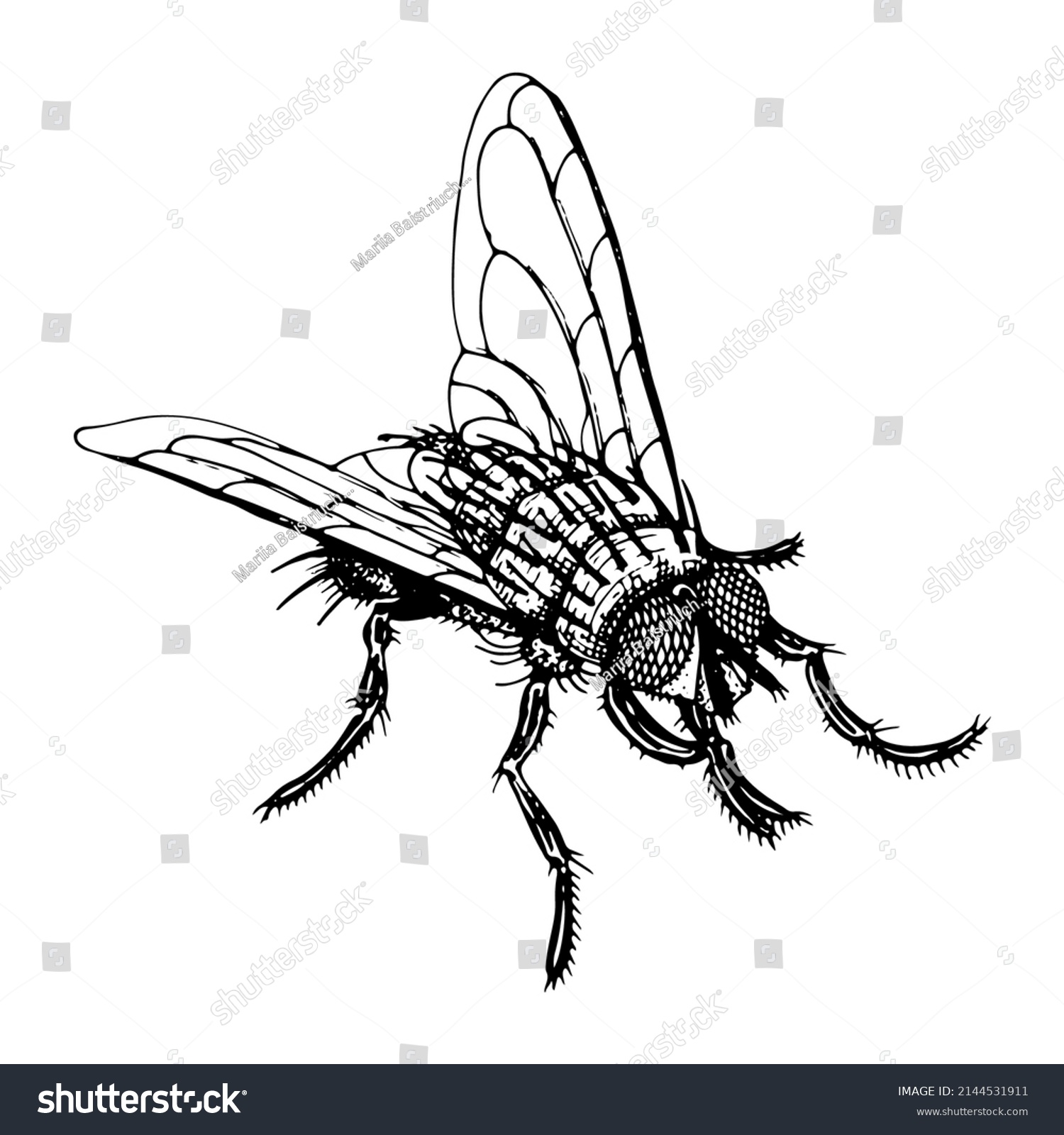 324,367 Fly hand Images, Stock Photos & Vectors | Shutterstock